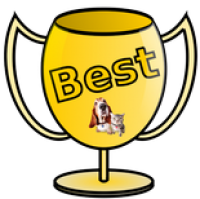 a gold cup award
